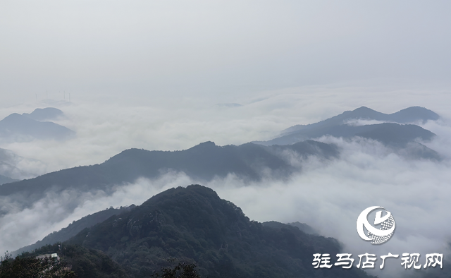 深秋雾漫老乐山 云海翻涌绘仙境