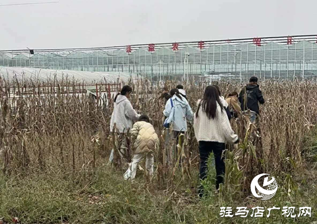 驻马店职业技术学院商学院开展素质拓展与劳动教育