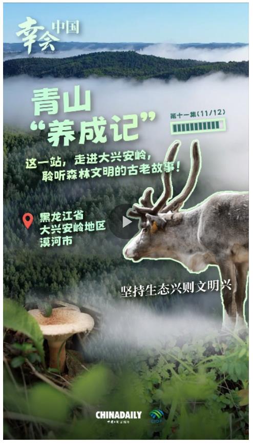 幸会中国 | 走进大兴安岭，见证生态兴文明兴的力量