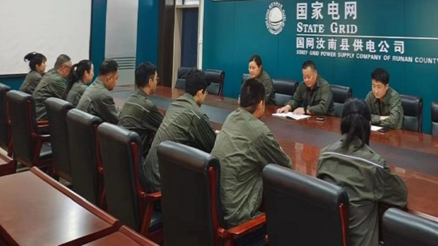 国网汝南县供电公司：强化“数据+业务”协调并进