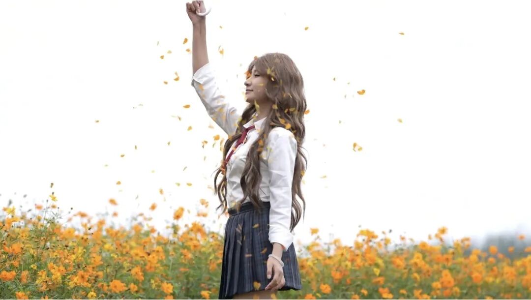 1031 共赴一场秋日菊宴