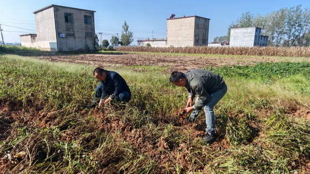 国网新蔡县供电公司开展金秋帮扶活动