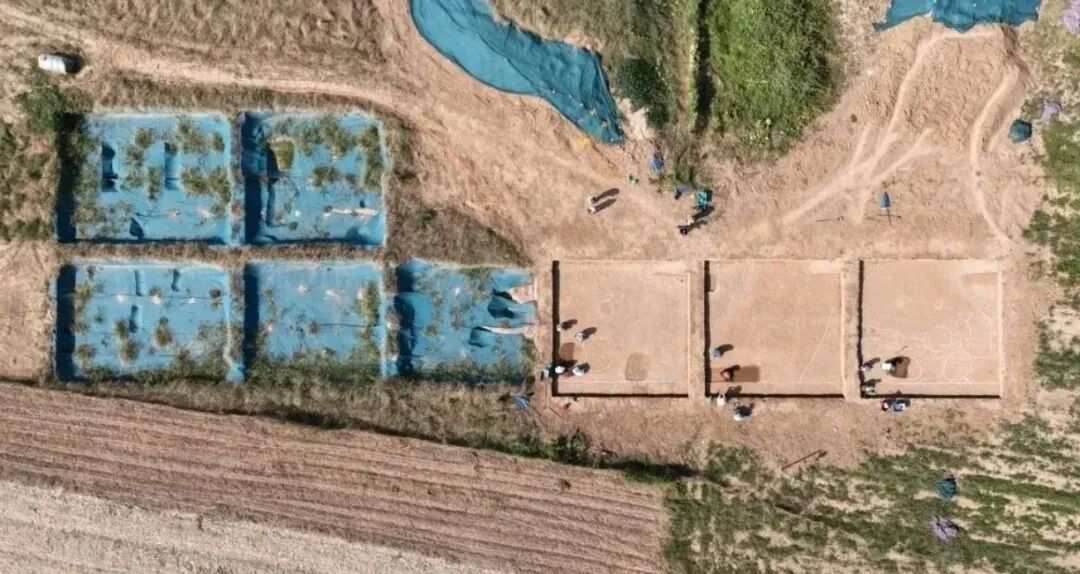 “十四五”驻马店文旅答卷系列之二 | 赓续天中文脉 让遗产之花灼灼其华