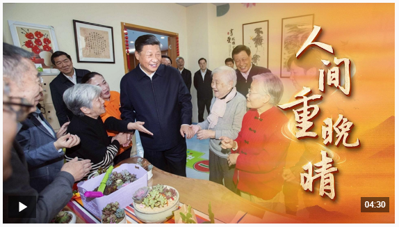 时政微视频丨人间重晚晴