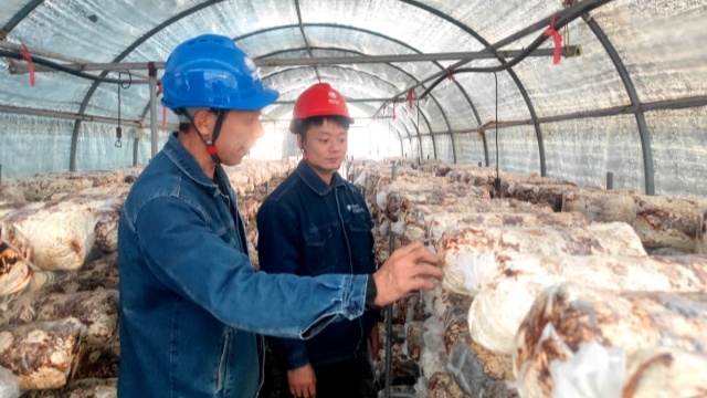 国网泌阳县供电公司：服务冷库安全用电 助力特色产业发展