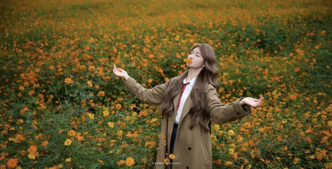 1031 共赴一场秋日菊宴