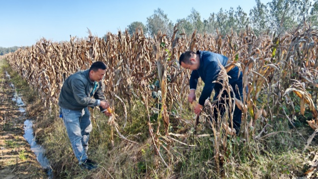 国网新蔡县供电公司开展金秋帮扶活动