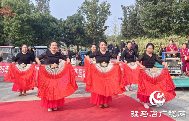 驿城区:重阳节文化惠民演出传递敬老温情