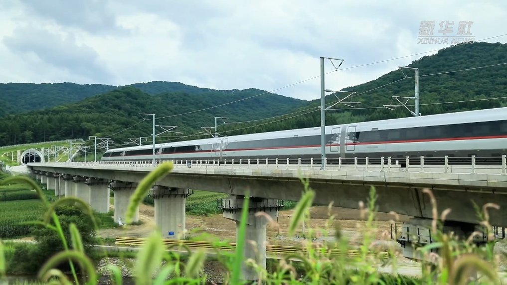 打折了！沈白高铁各趟列车11月1日起不同程度降价