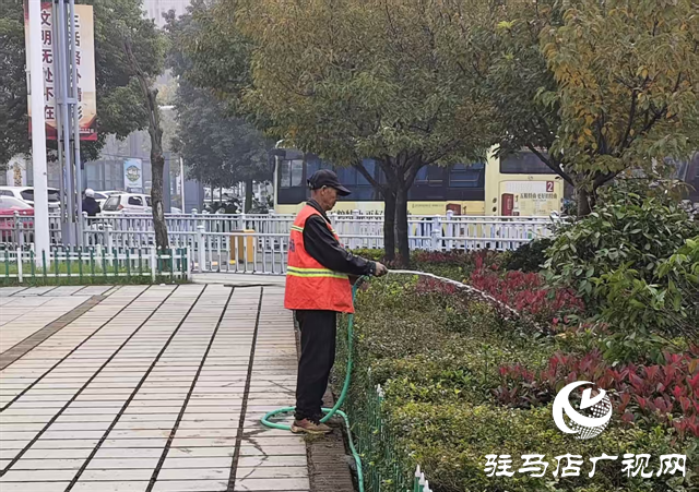  驻马店市城乡一体化示范区综合执法大队开展高铁广场树木补栽工作