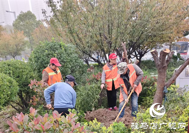  驻马店市城乡一体化示范区综合执法大队开展高铁广场树木补栽工作