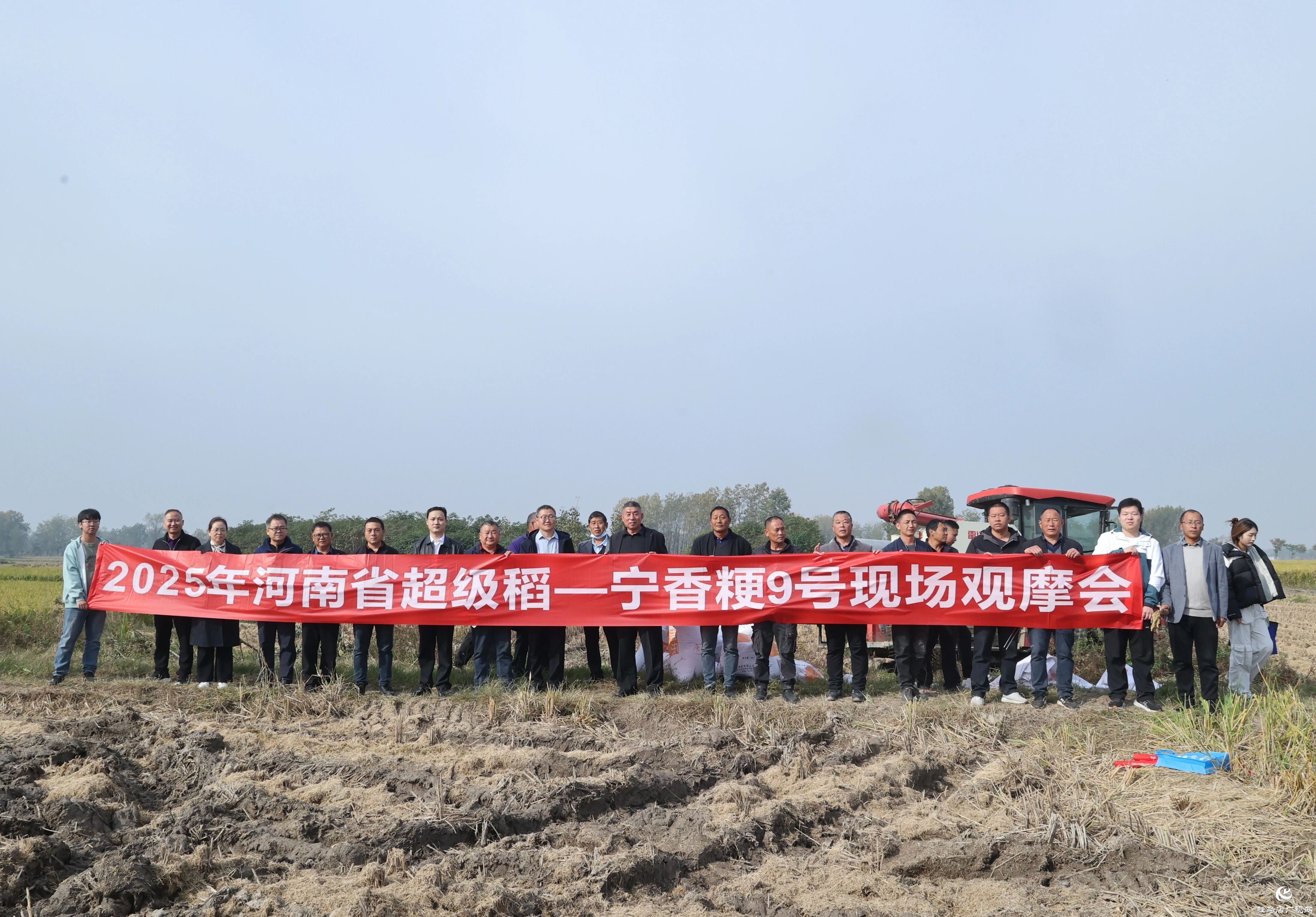 河南省优质食味粳稻观摩会在正阳县举行