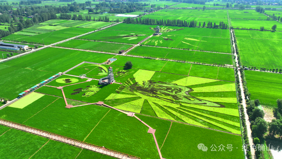 “十四五”驻马店文旅答卷系列之三 | 业态创新升级，乡村旅游火爆