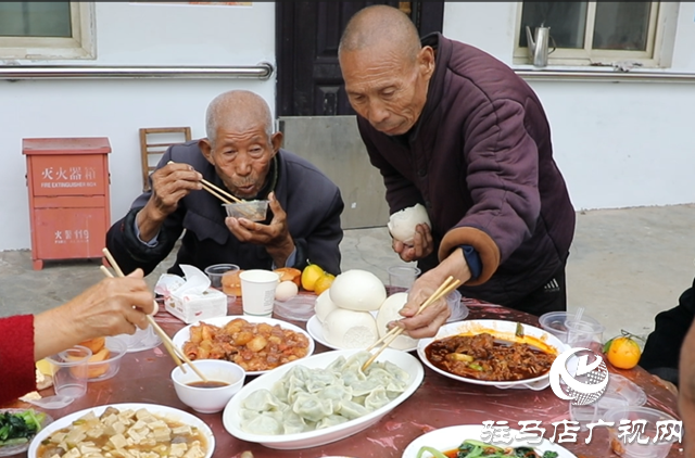 泌阳县贾楼乡举办2025年重阳节敬老爱老饺子宴志愿公益活动