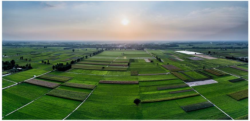 降雨增多,河南要扩大水稻种植吗?∣豫观察·河南的“南”题②
