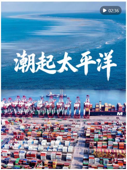 微视频｜潮起太平洋