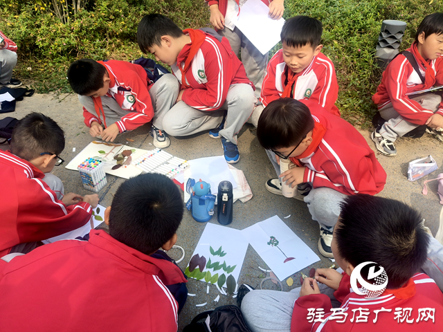 驻马店市第三十七小学开展“赏秋日之美 探科学之秘”徒步研学活动