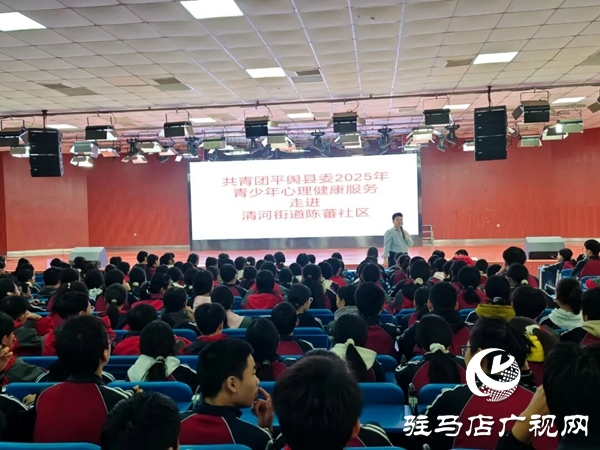 共青团平舆县委2025年青少年心理健康服务走进陈蕃社区