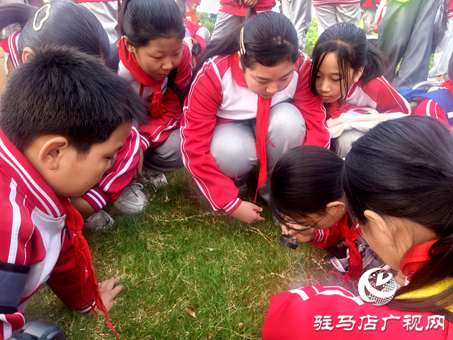 驻马店市第三十七小学开展“赏秋日之美 探科学之秘”徒步研学活动