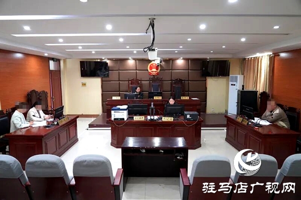 平舆县人民法院：明察“中转”账 调解化干戈