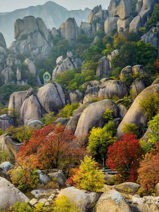 驻马店秋日漫步指南:抓住秋天的尾巴,在这几个地方邂逅最美时光