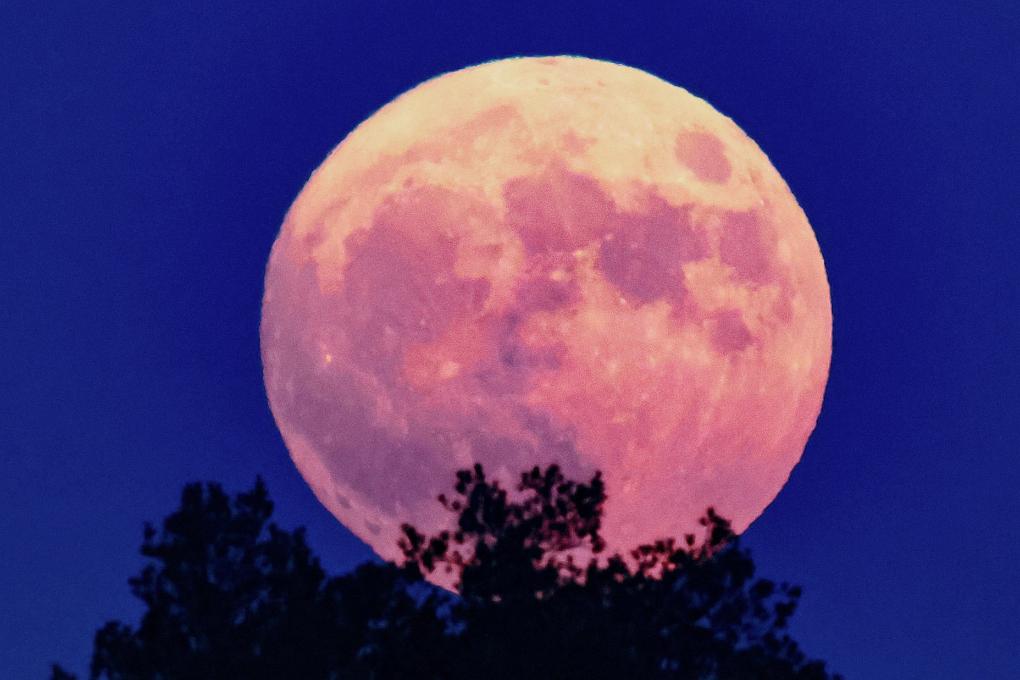 今年“个头”最大的“超级月亮”即将“上线”