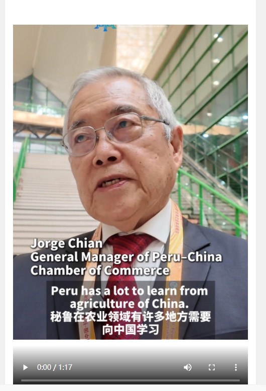 世界观 | 与秘中商会总经理聊聊中秘合作这件事儿