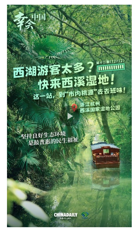 幸会中国 | 走进西溪湿地，漫步“市内桃源”，共享绿色空间