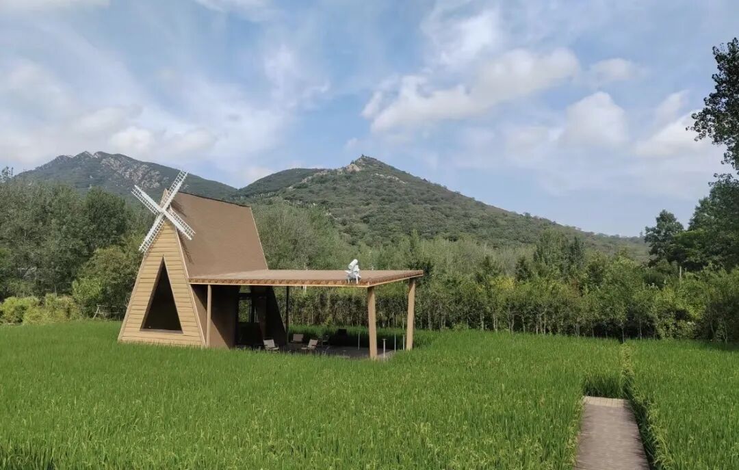 驻马店秋日漫步指南:抓住秋天的尾巴,在这几个地方邂逅最美时光