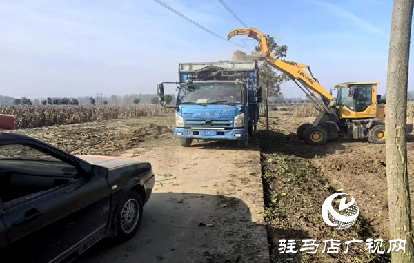 平舆县射桥镇:秸秆清运“加速度” 绘就乡村洁净新图景