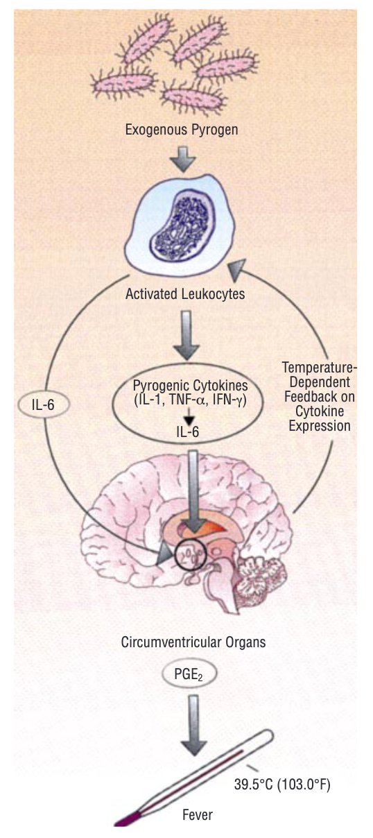 嗓子疼是感冒警报？做对这些事阻断病毒
