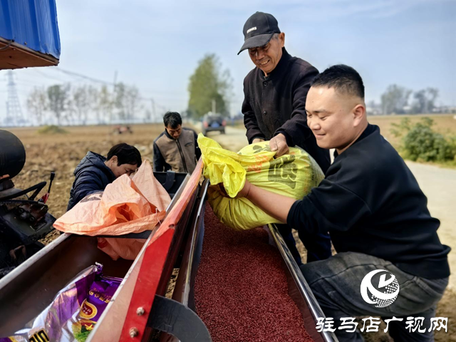驿城区水屯镇：抢抓农时推进秋播