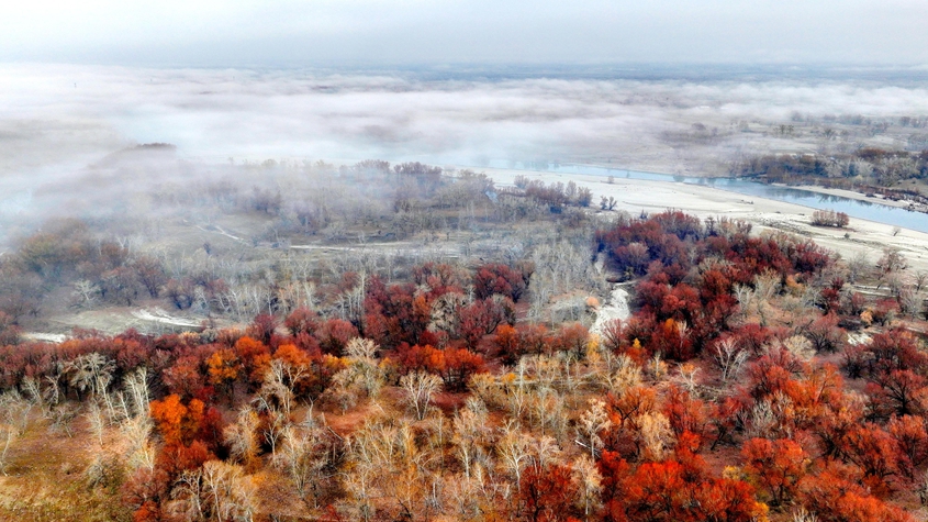 额尔齐斯河新疆北屯段现壮美晨雾景观
