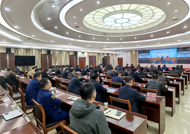 驻马店市收听收看全省森林防灭火暨冬春火灾防控工作动员部署电视电话会议