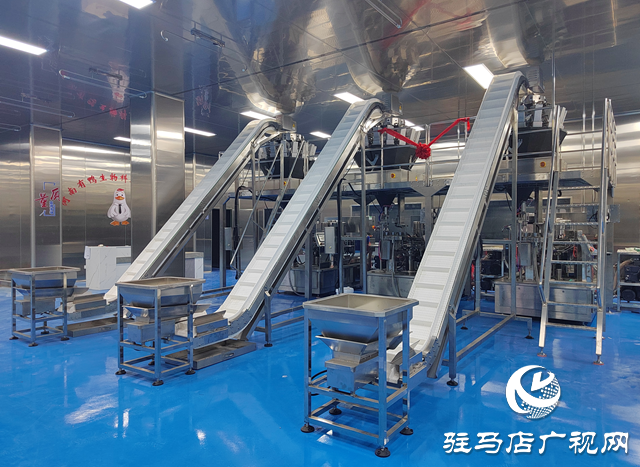 新蔡县：厚植营商沃土 让“舌尖产业”成为县域经济“顶梁柱”