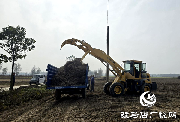 平舆县玉皇庙乡:干群携手清秸秆 秋种禁烧双推进