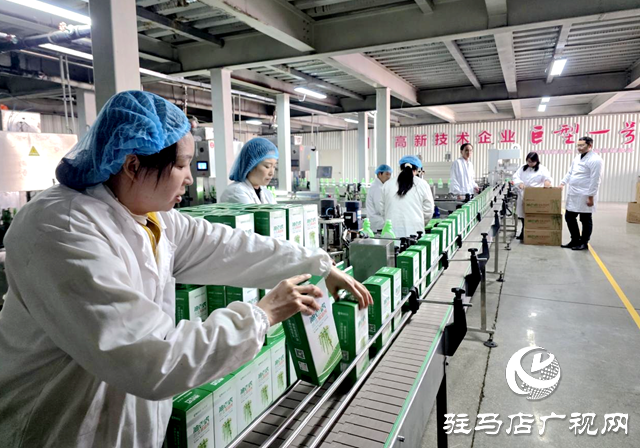 上蔡县晨钟农业发展有限公司：全力备战“双十一” 冲刺年度销售高峰