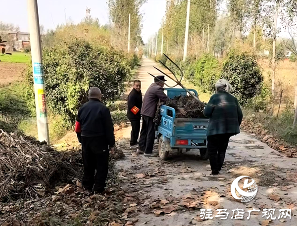 平舆县玉皇庙乡：干群携手清秸秆 秋种禁烧双推进