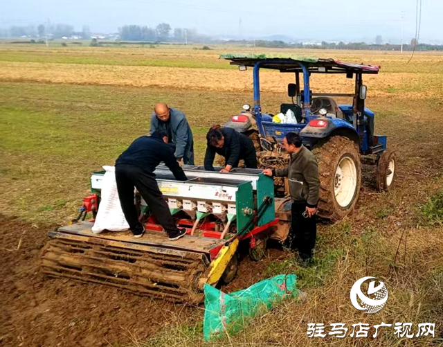 确山县三里河街道:争秋时 忙耕作