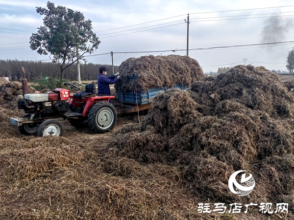 平舆县庙湾镇:变“堵”为“疏”解难题 助推人居环境与秸秆禁烧双提升