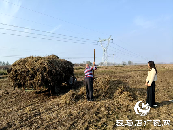 平舆县李屯镇：秸秆清运除隐患 全域巡防护蓝天
