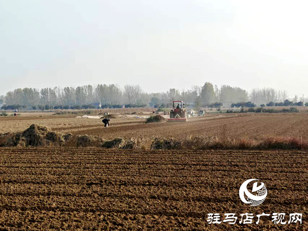 平舆县射桥镇:农机助耕正当时 秋播提速保丰收