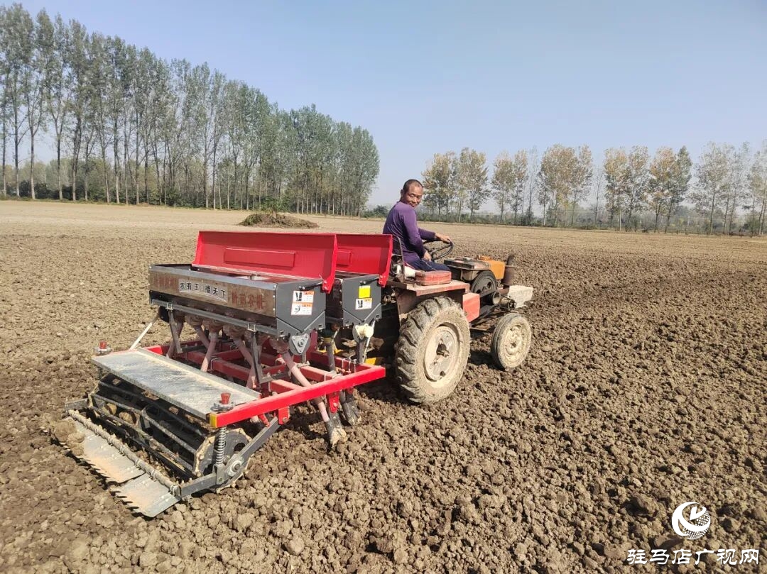 正阳县冬小麦播种掀热潮