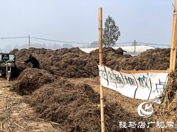 平舆县庙湾镇:变“堵”为“疏”解难题 助推人居环境与秸秆禁烧双提升