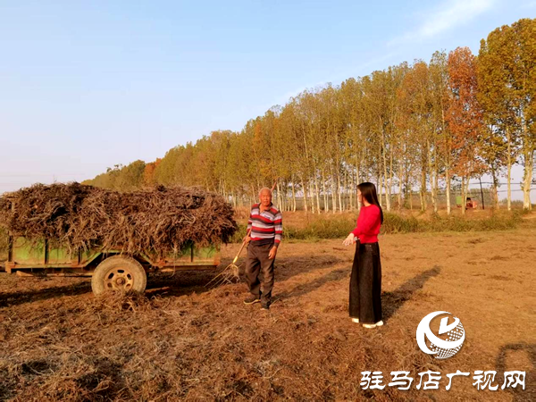 平舆县李屯镇:秸秆清运除隐患 全域巡防护蓝天
