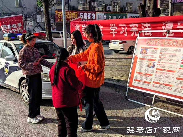 确山县竹沟镇开展专项法治宣传活动