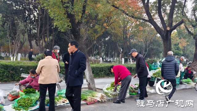 驿城区：设置便民摊位点 让“烟火气”与“文明风”共生