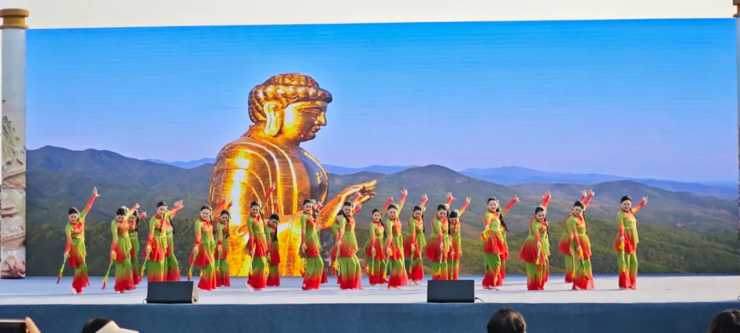 驻马店两支广场舞队伍精彩亮相2025年“中原舞蹁跹”河南省广场舞大赛决赛