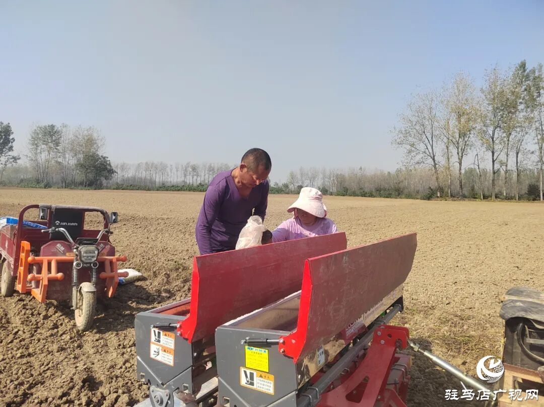 正阳县冬小麦播种掀热潮