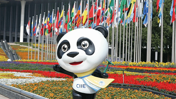 微视频｜“大海”的底气